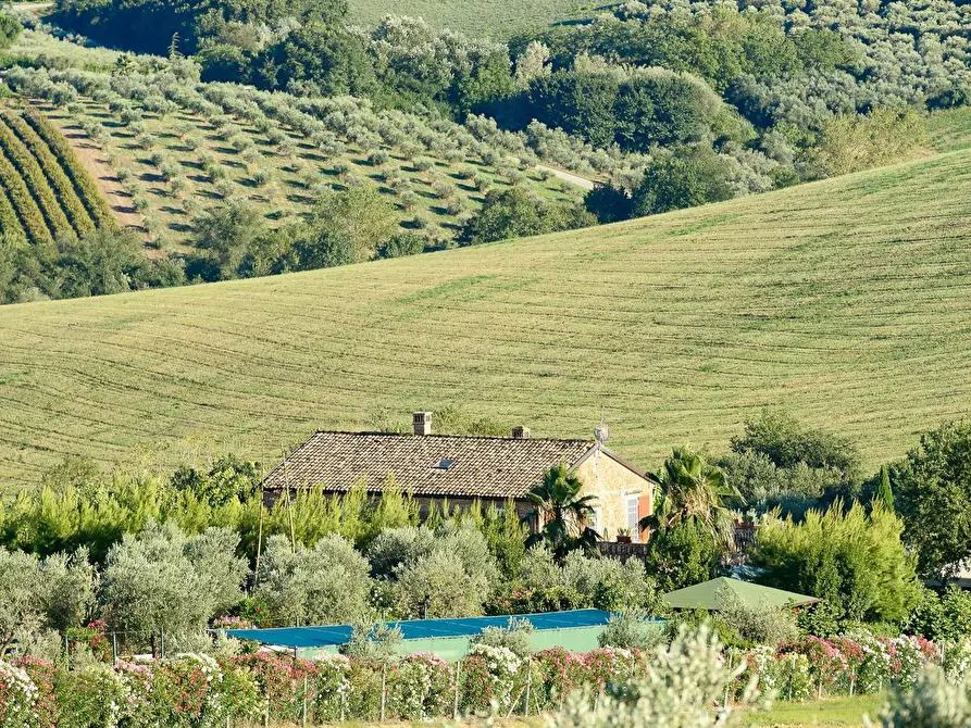 Immagine 24 di Rustico / casale in vendita  in Contrada Rio Moro a Colonnella