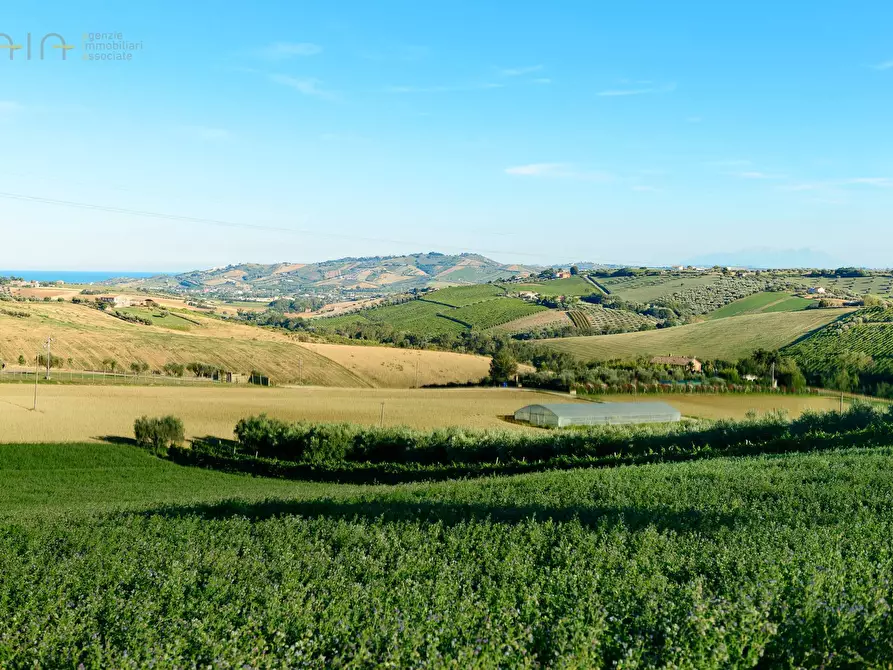 Immagine 25 di Rustico / casale in vendita  in Contrada Rio Moro a Colonnella