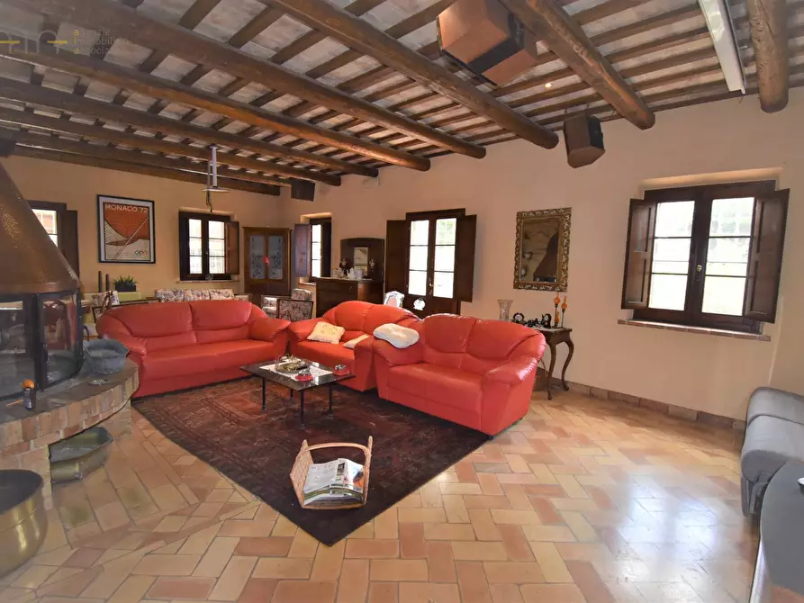 Immagine 8 di Rustico / casale in vendita  in Contrada Rio Moro a Colonnella