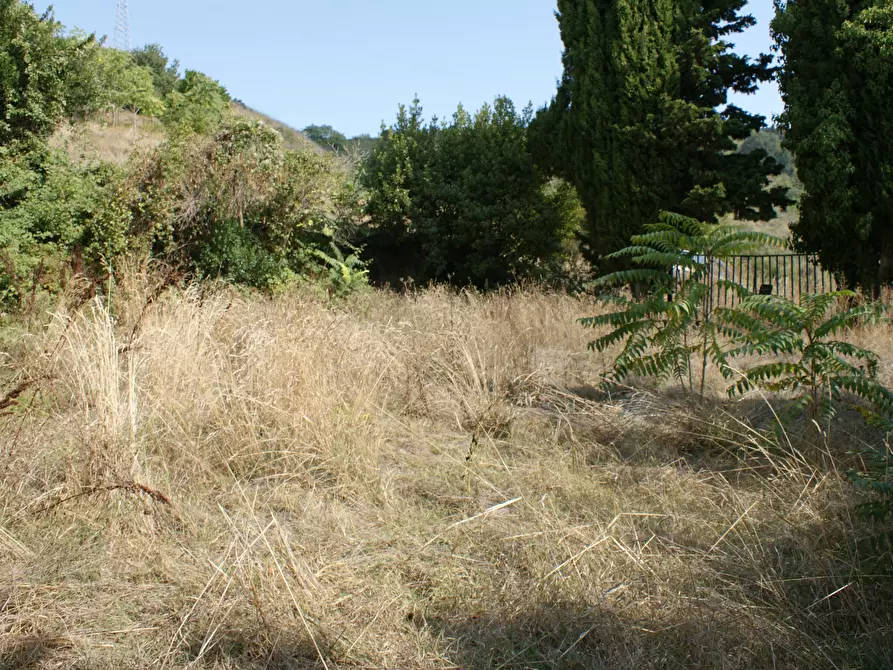 Immagine 4 di Rustico / casale in vendita  in Contrada Solagna Ragnola a Monteprandone