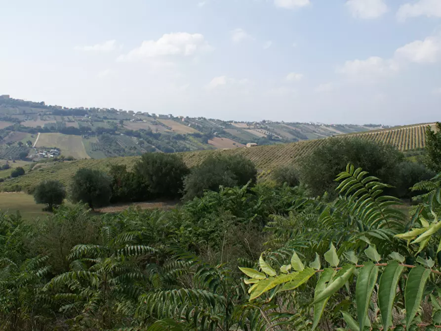 Immagine 2 di Rustico / casale in vendita  in Contrada Solagna Ragnola a Monteprandone