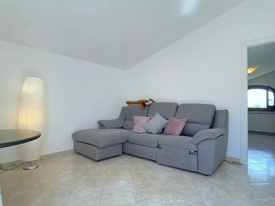 Immagine 29 di Villa in vendita  in Via delle Sorgenti a Colonnella