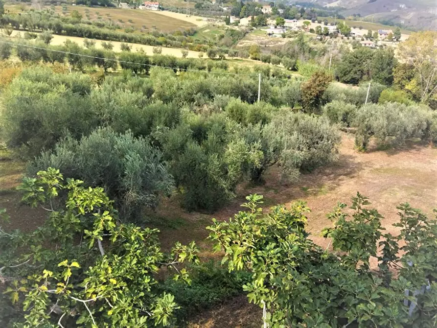 Immagine 3 di Rustico / casale in vendita  in Via Roma a Castel Di Lama