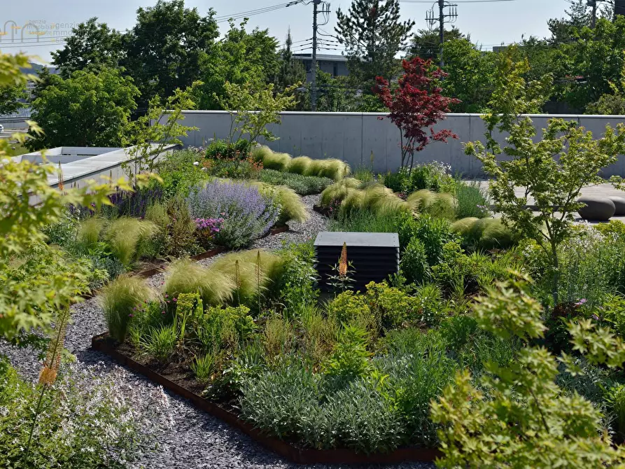 Immagine 20 di Appartamento in vendita  in Via Corsica a San Benedetto Del Tronto