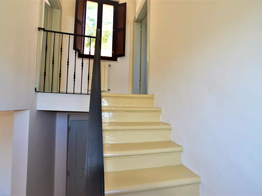 Immagine 6 di Appartamento in vendita  in Via Cavour a Monsampolo Del Tronto