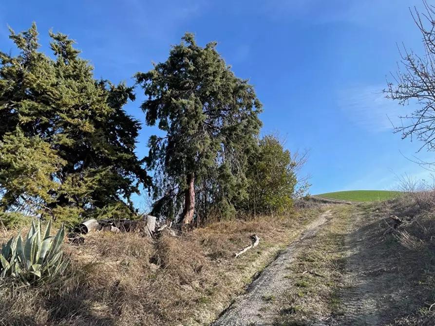 Immagine 15 di Rustico / casale in vendita  in Contrada San Gregorio a Ripatransone