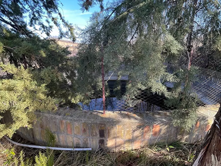 Immagine 21 di Rustico / casale in vendita  in Contrada San Gregorio a Ripatransone