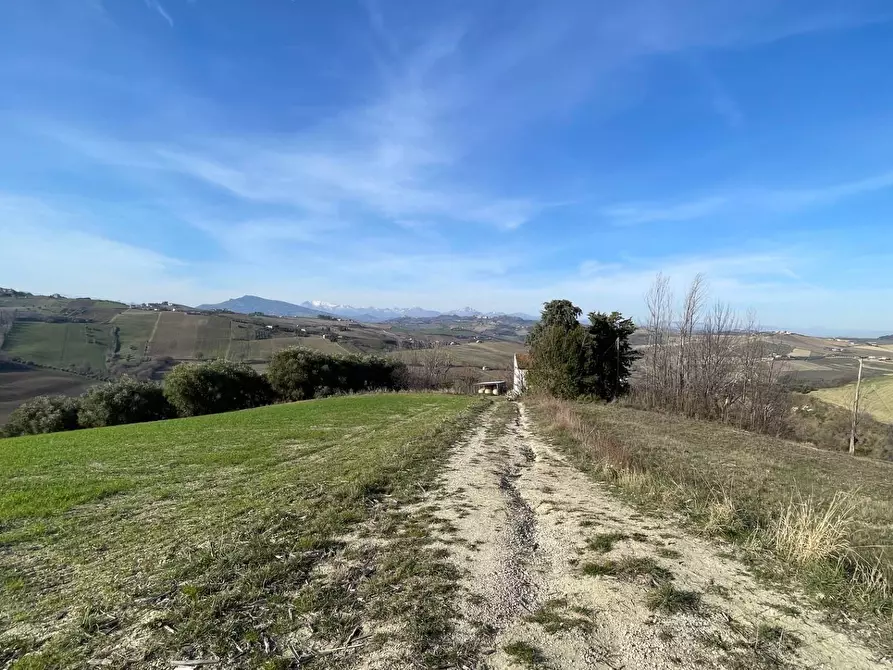 Immagine 16 di Rustico / casale in vendita  in Contrada San Gregorio a Ripatransone