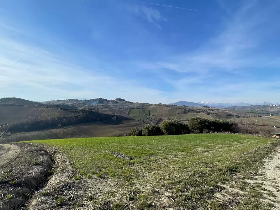 Immagine 17 di Rustico / casale in vendita  in Contrada San Gregorio a Ripatransone