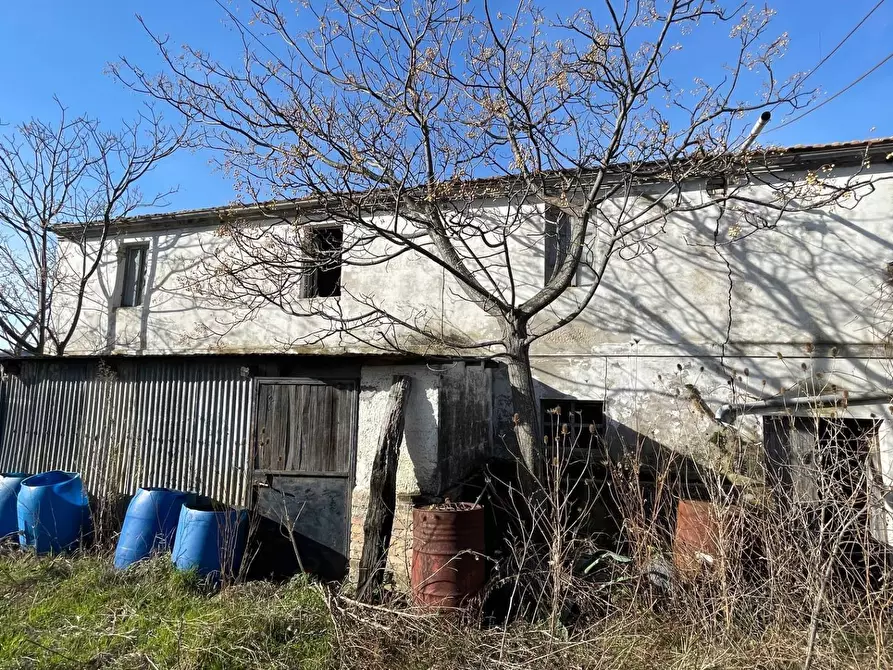 Immagine 6 di Rustico / casale in vendita  in Contrada San Gregorio a Ripatransone