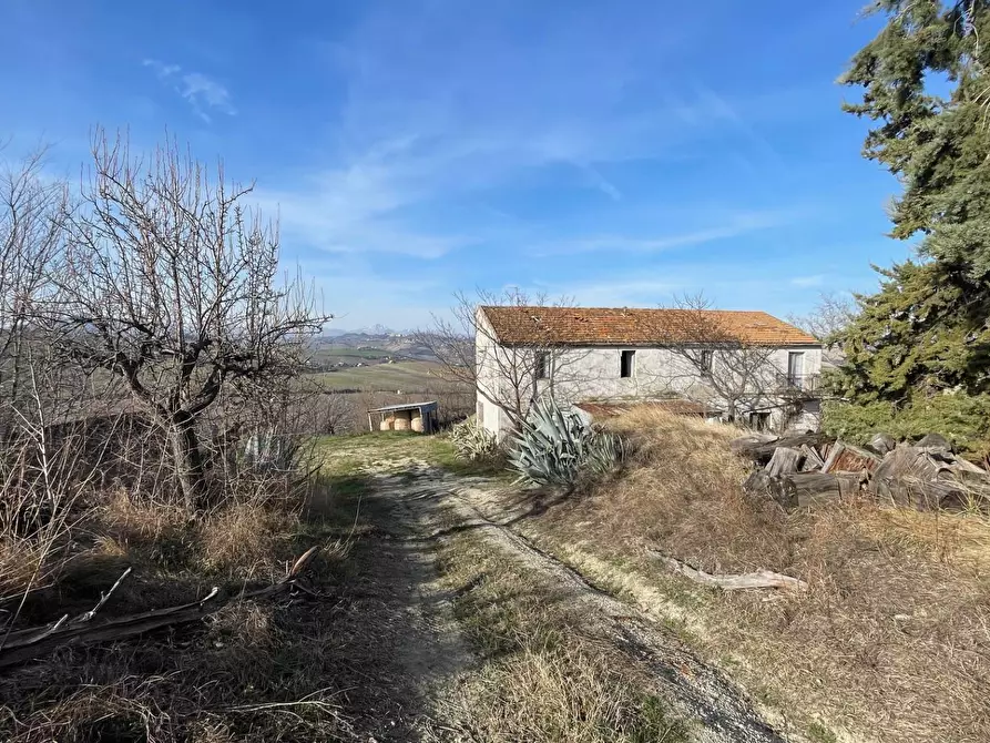 Immagine 2 di Rustico / casale in vendita  in Contrada San Gregorio a Ripatransone