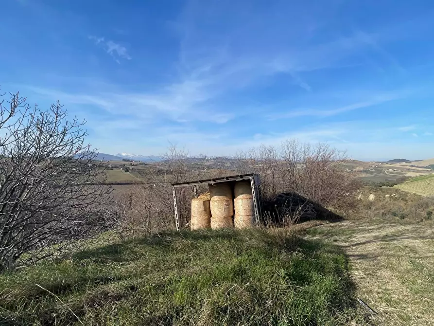 Immagine 19 di Rustico / casale in vendita  in Contrada San Gregorio a Ripatransone