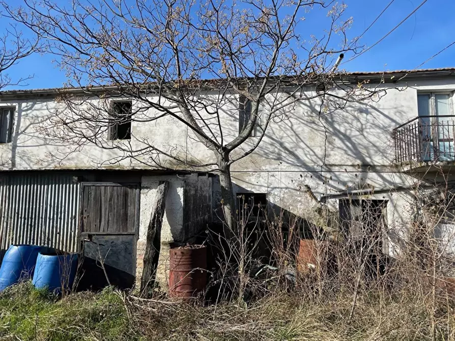 Immagine 7 di Rustico / casale in vendita  in Contrada San Gregorio a Ripatransone
