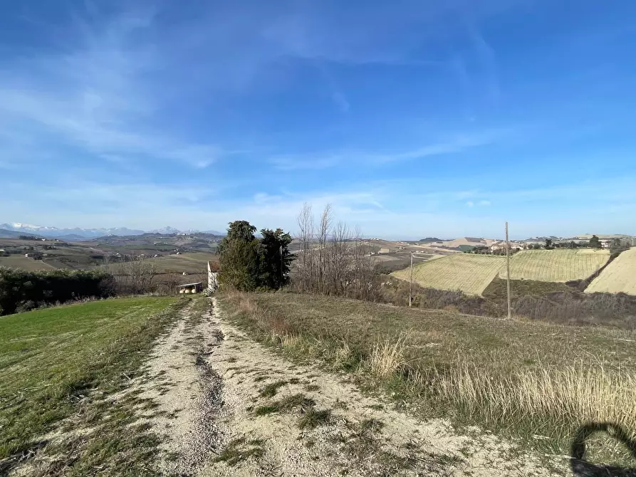 Immagine 20 di Rustico / casale in vendita  in Contrada San Gregorio a Ripatransone
