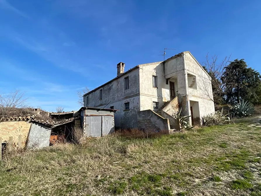 Immagine 3 di Rustico / casale in vendita  in Contrada San Gregorio a Ripatransone