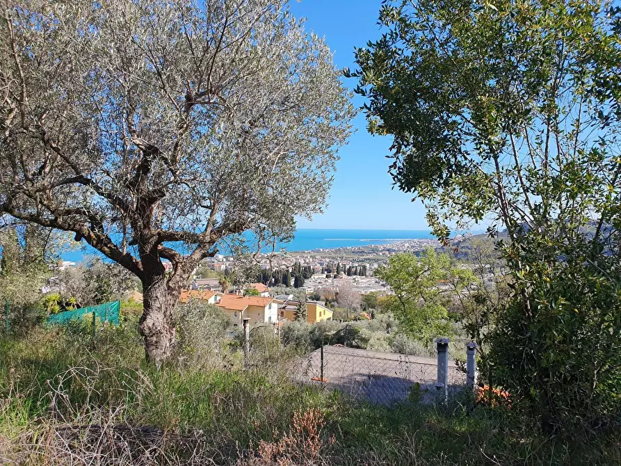Immagine 4 di Terreno residenziale in vendita  a Grottammare