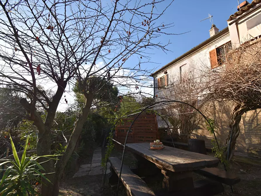 Immagine 20 di Rustico / casale in vendita  in Contrada Pianacciole a Ripatransone