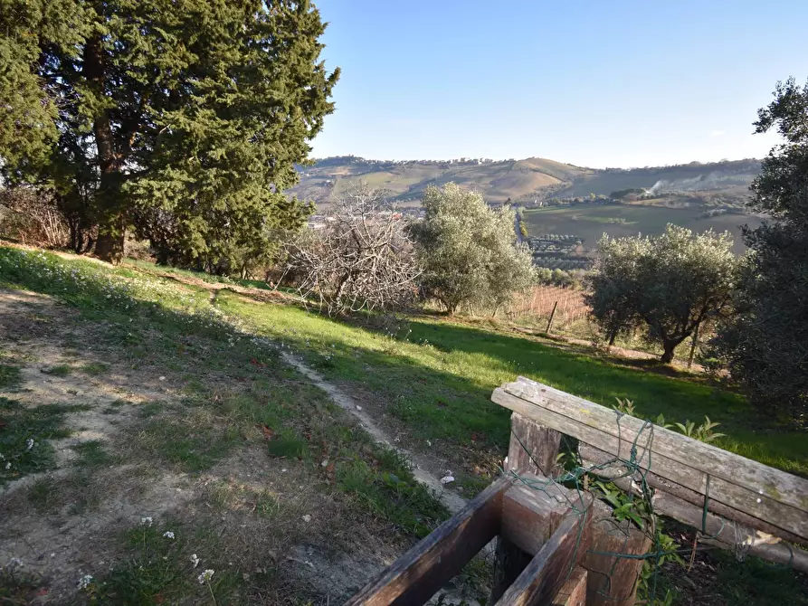 Immagine 26 di Rustico / casale in vendita  in Contrada Pianacciole a Ripatransone