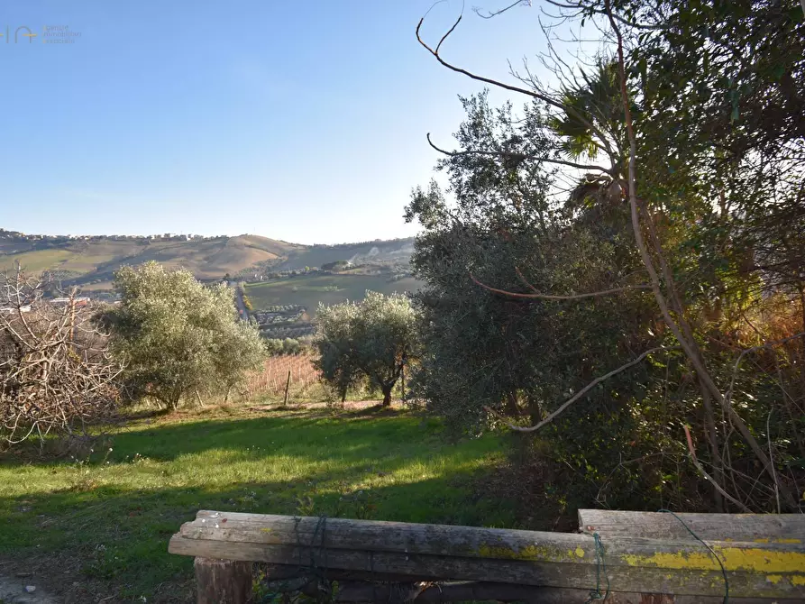 Immagine 27 di Rustico / casale in vendita  in Contrada Pianacciole a Ripatransone