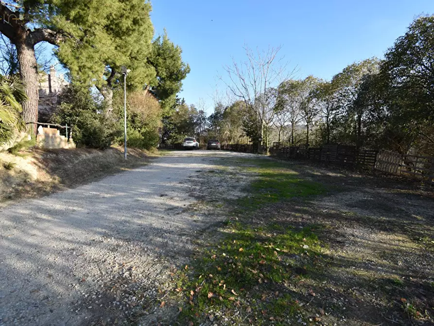 Immagine 29 di Rustico / casale in vendita  in Contrada Pianacciole a Ripatransone