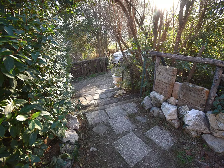 Immagine 24 di Villa in vendita  in Contrada Pianacciole a Ripatransone