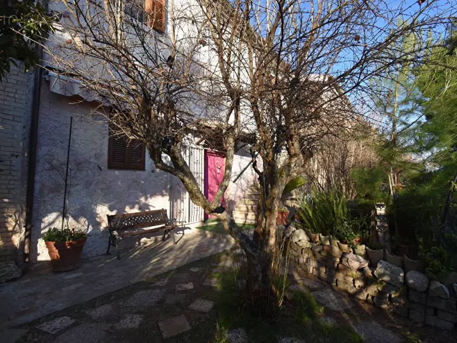 Immagine 30 di Villa in vendita  in Contrada Pianacciole a Ripatransone