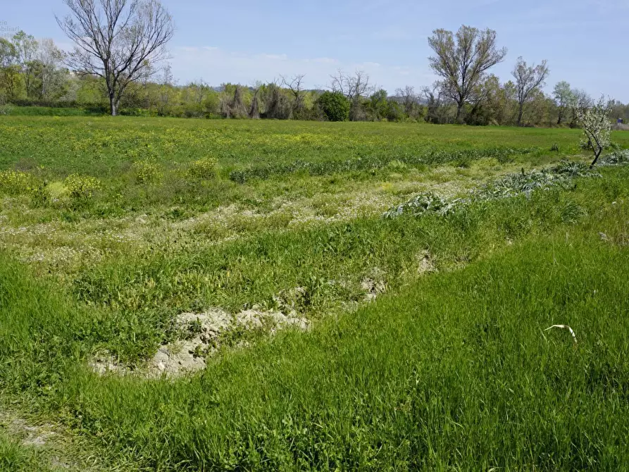 Immagine 1 di Terreno agricolo in vendita  in Contrada Taiano a Controguerra