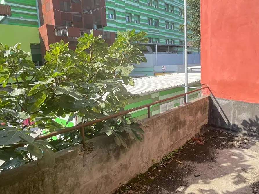 Immagine 12 di Casa indipendente in vendita  in Via Silvio Pellico a San Benedetto Del Tronto
