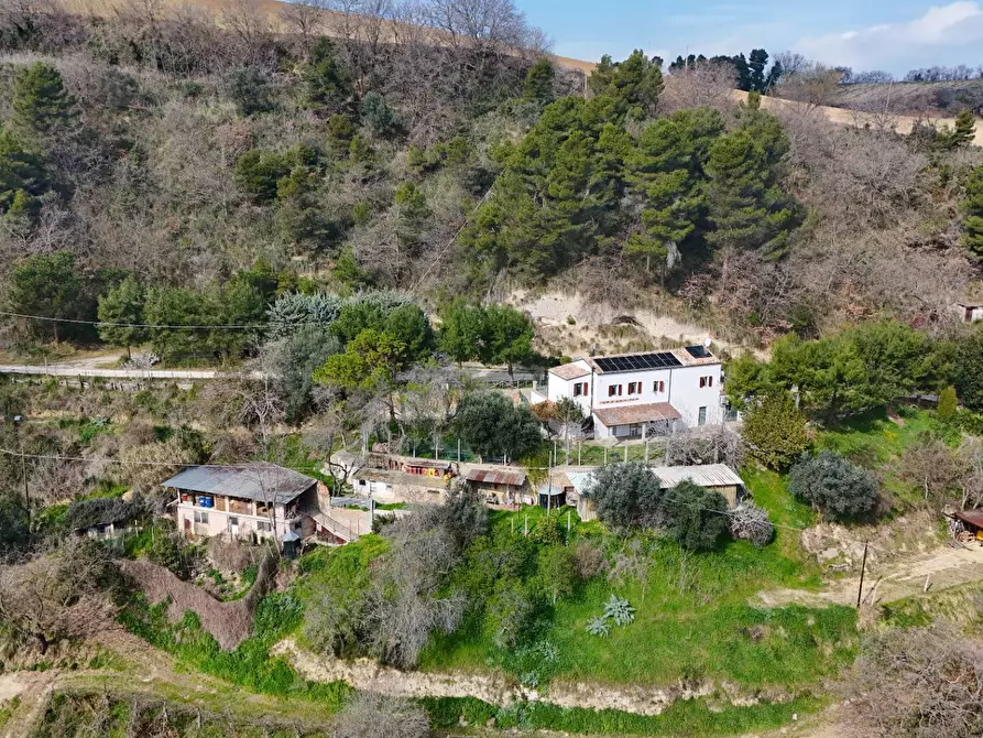 Immagine 21 di Rustico / casale in vendita  in Contrada Sant'Egidio a Ripatransone