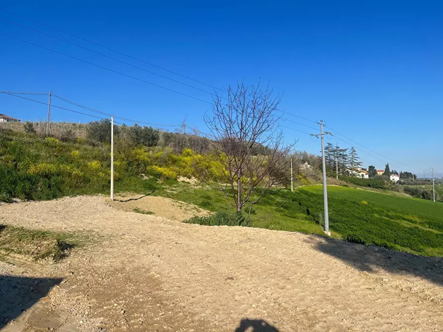 Immagine 22 di Casa indipendente in vendita  in Contrada San Lazzaro a Offida