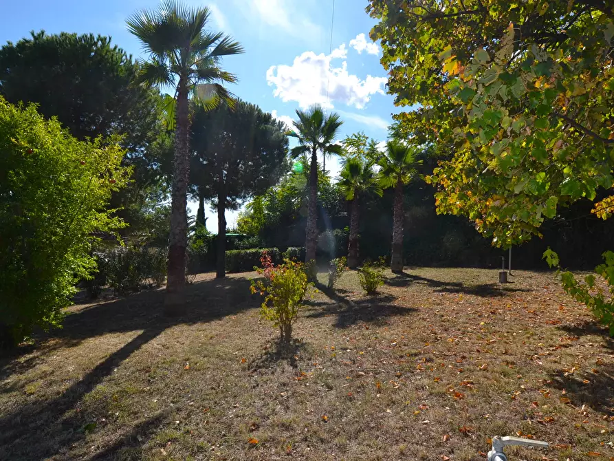 Immagine 29 di Villa in vendita  in Collina residenziale a Colonnella