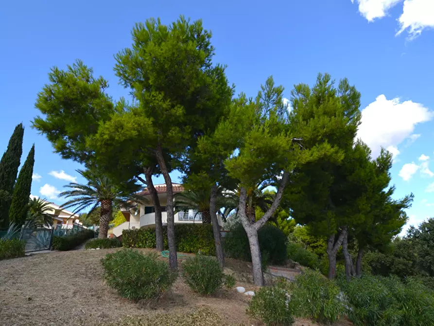 Immagine 27 di Villa in vendita  in Collina residenziale a Colonnella