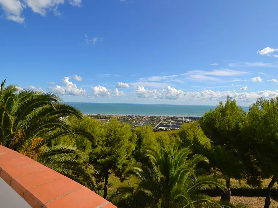 Immagine 22 di Villa in vendita  in Collina residenziale a Colonnella