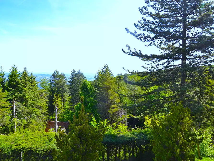 Immagine 20 di Villa in vendita  in Colle San Marco a Ascoli Piceno