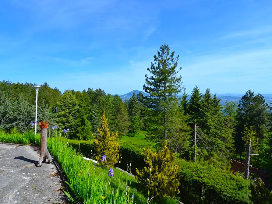 Immagine 21 di Villa in vendita  in Colle San Marco a Ascoli Piceno
