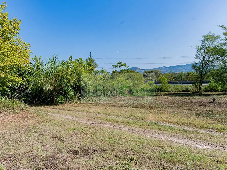 Immagine 7 di Terreno agricolo in vendita  in Via Pignatelli a Cepagatti
