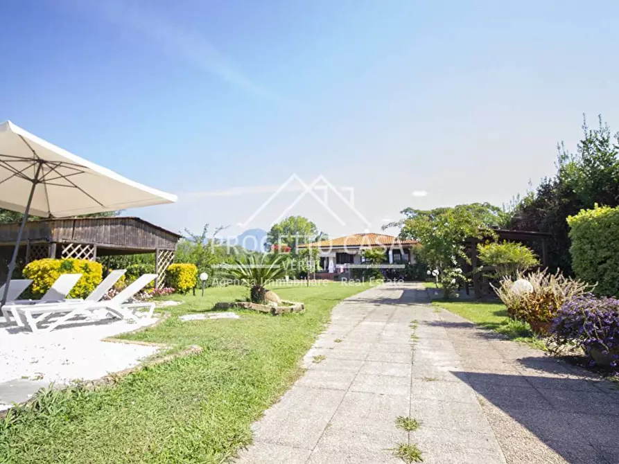 Immagine 18 di Casa indipendente in vendita  in via del trebbiano a Camaiore