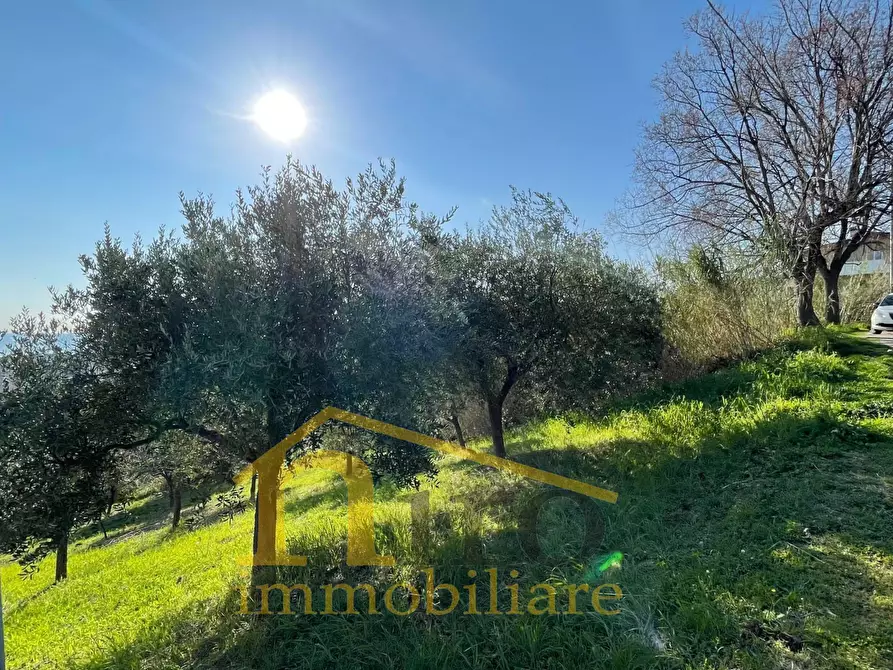 Immagine 4 di Terreno residenziale in vendita  in Contrada San Silvestro a Silvi