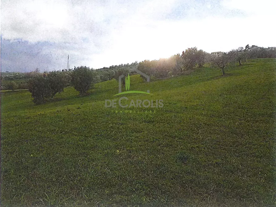 Immagine 5 di Terreno residenziale in vendita  in Contrada Cesenà ALto a Campli