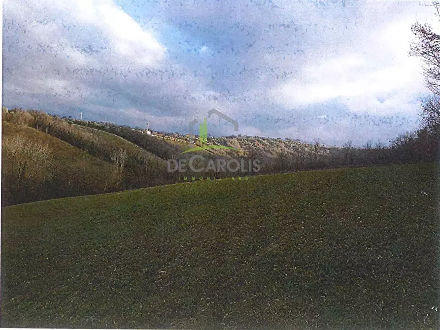 Immagine 9 di Terreno residenziale in vendita  in Contrada Cesenà ALto a Campli