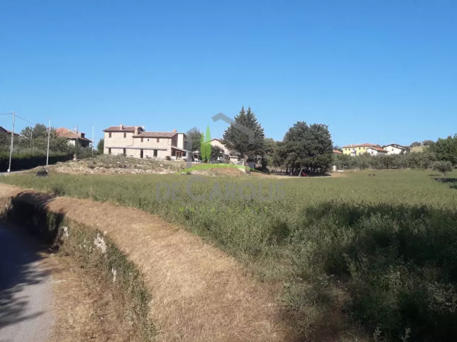 Immagine 1 di Terreno residenziale in vendita  in Rosara a Ascoli Piceno