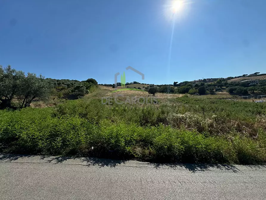 Immagine 1 di Terreno agricolo in vendita  in Via Cavoni a Mosciano Sant'angelo