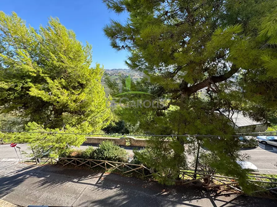 Immagine 13 di Casa indipendente in vendita  in PIazza Castello a Monsampolo Del Tronto