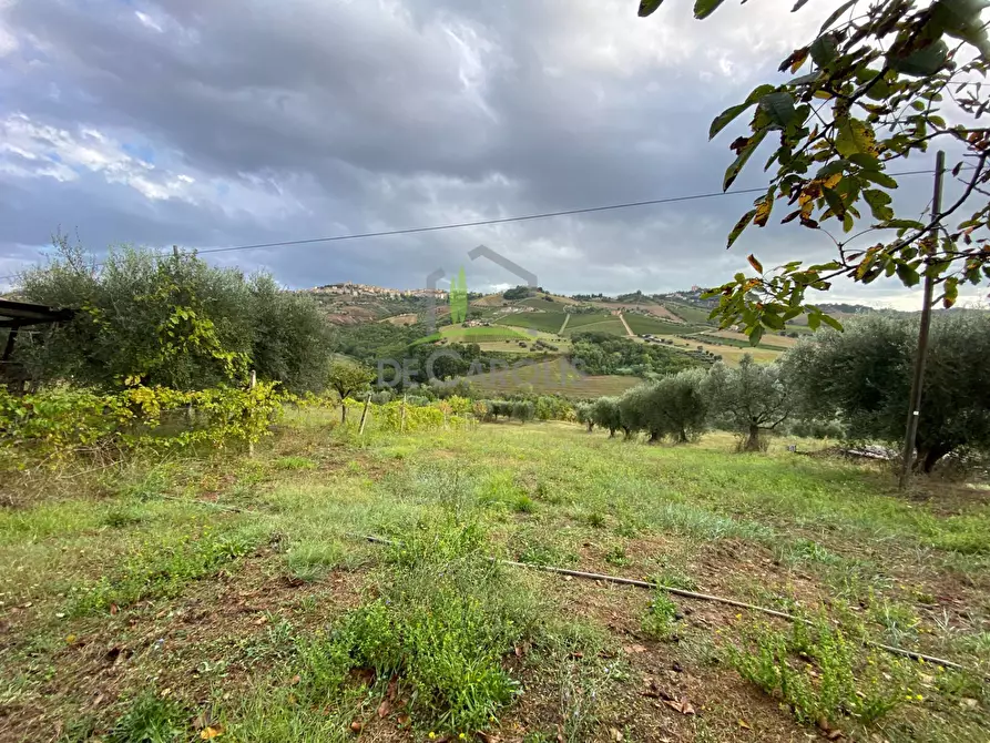 Immagine 5 di Casa indipendente in vendita  in Via Casarica a Acquaviva Picena