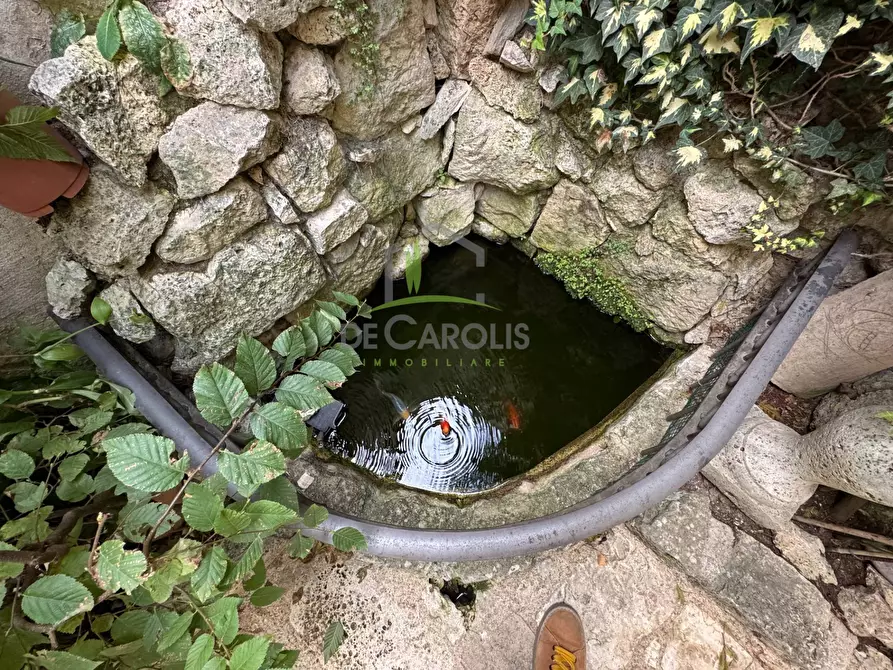 Immagine 24 di Casa indipendente in vendita  in Corso Mazzini a Ascoli Piceno