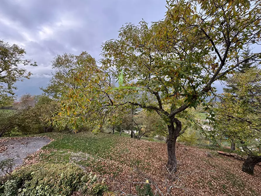 Immagine 8 di Appartamento in vendita  in Spelonga a Arquata Del Tronto