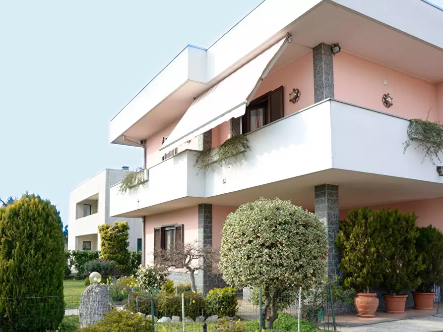 Immagine 2 di Capannone industriale in vendita  in Via Monte Golico a Samarate