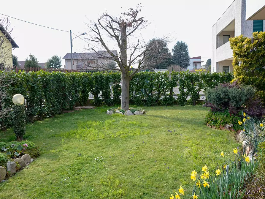 Immagine 10 di Capannone industriale in vendita  in Via Monte Golico a Samarate