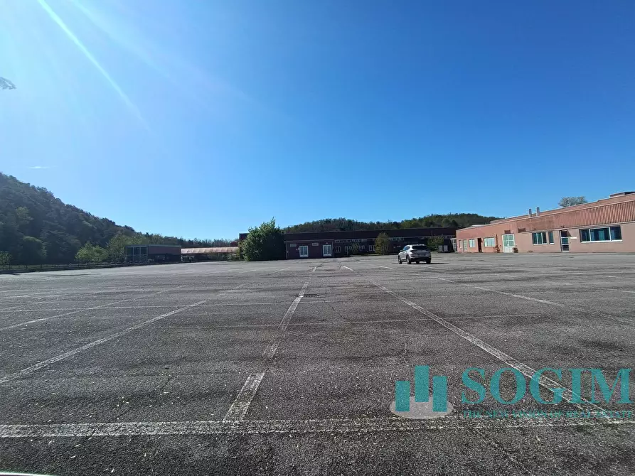 Immagine 11 di Capannone industriale in affitto  in Via Tettamanti a Colverde