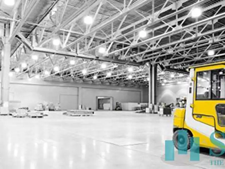 Immagine 9 di Capannone industriale in affitto  a Piacenza